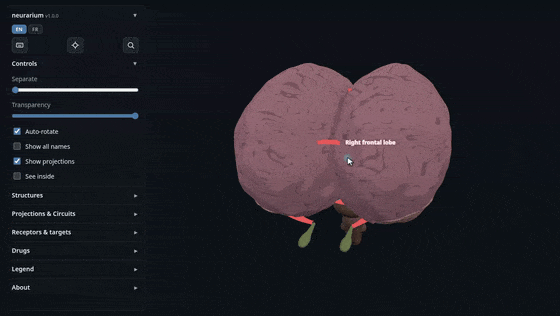 neurarium